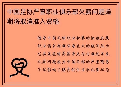 中国足协严查职业俱乐部欠薪问题逾期将取消准入资格