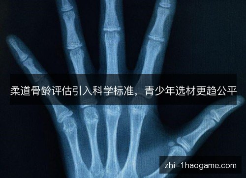 柔道骨龄评估引入科学标准，青少年选材更趋公平